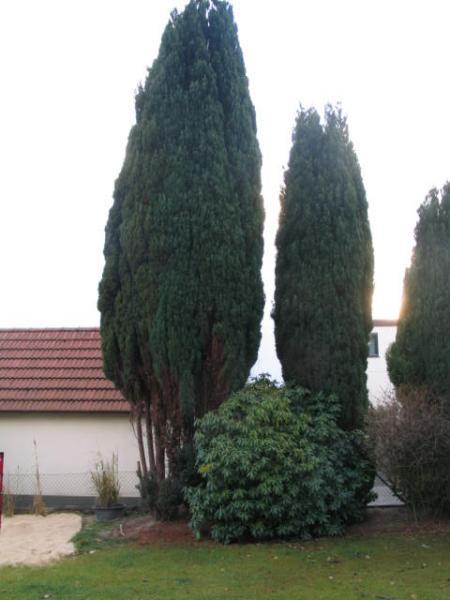 Bild zu 