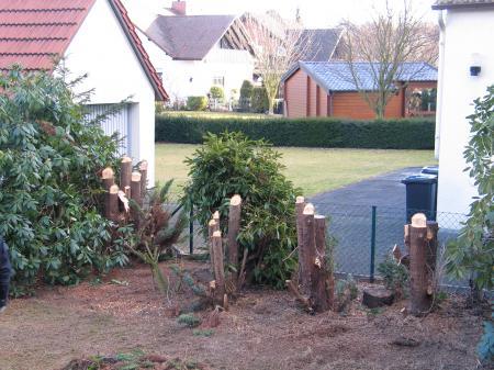 Bild zu 