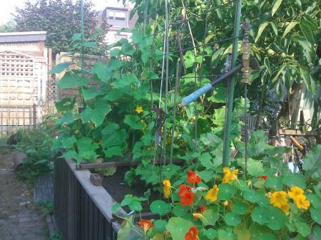 Bild zu