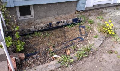 Bild zu beet, wie vorgehen - Garten Forum