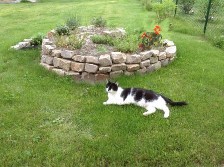 Bild zu 