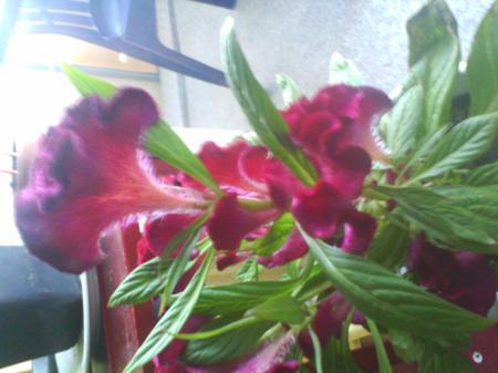 Bild zu 