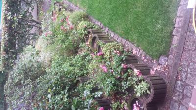 Bild zu das erste mal früchte/gemüse anpflanzen... - Garten Forum
