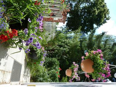 Bild zu mein Vorgarten - Garten Forum
