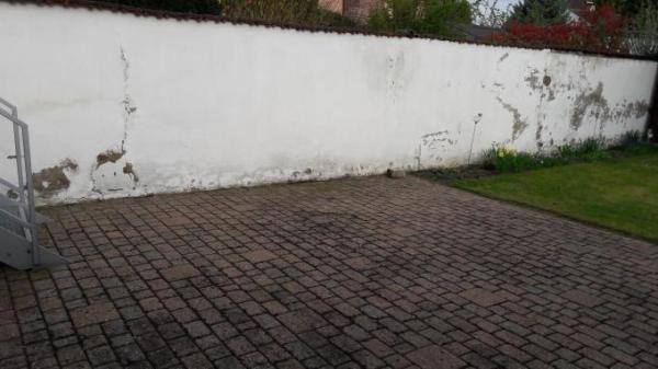 Bild zu Nochmal wegen Sichtschutzzaun - Garten Forum