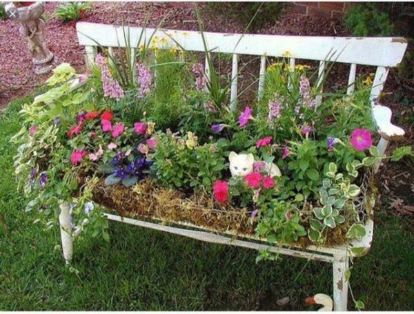 Bild zu Gartenbank bepflanzen - Garten Forum