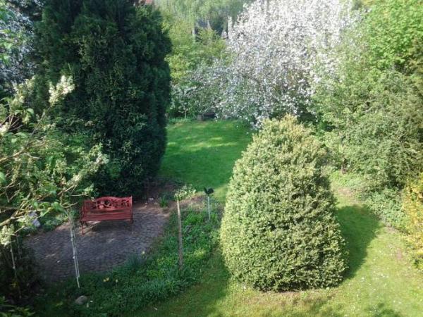 Bild zu Hilfe - Giersch - Garten Forum