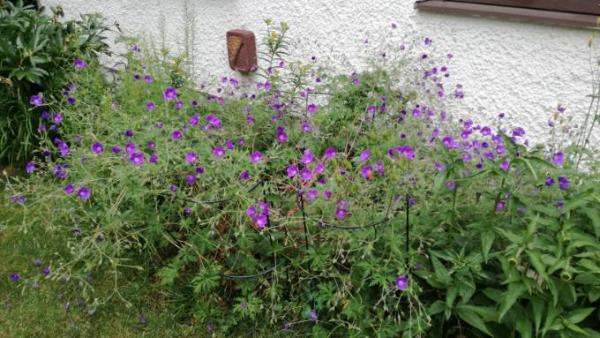 Bild zu 
