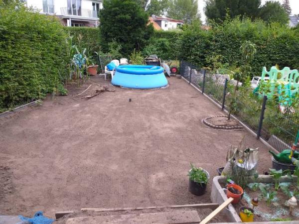 Bild zu Kreative vor - Garten Forum