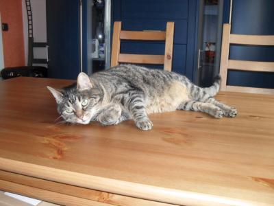 Bild zu 