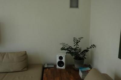 Bild zu Brauche Deko-Idee für Holztisch / Sofa - Einrichten und Deko