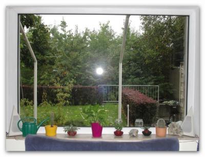 Bild zu Bitte mal herbstliche Deko-Ideen für unser Wonzimmer-Fenster - Einrichten und Deko