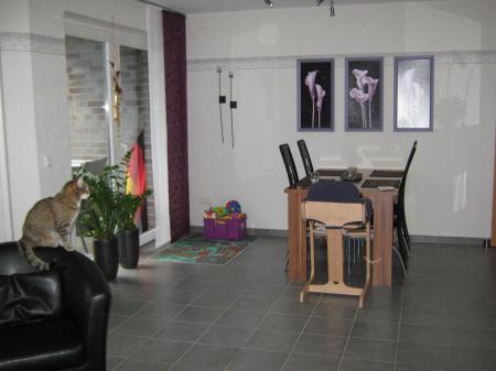 Bild zu 
