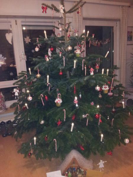 Bild zu 