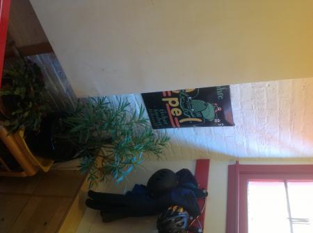 Bild zu 