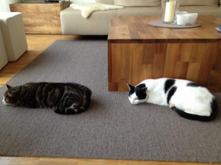 Bild zu 