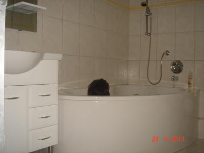 Bild zu Am Sonntag in der Badewanne - Einrichten und Deko