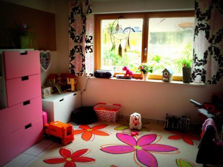 Bild zu