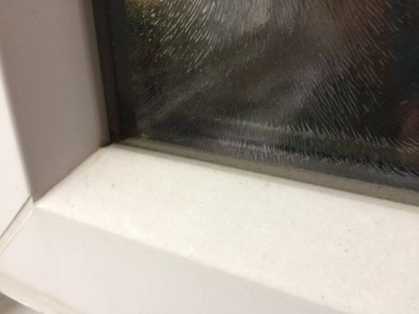 Bild zu Fenstergitter.... Frage an die Hausbesitzer - Einrichten und Deko