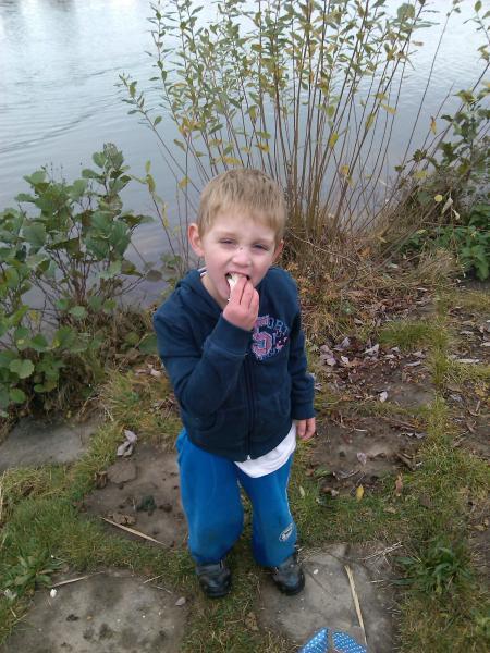 Bild zu