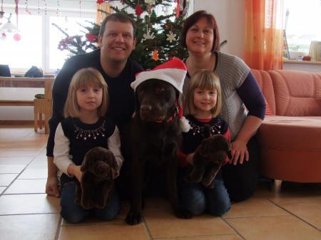 Bild zu 
