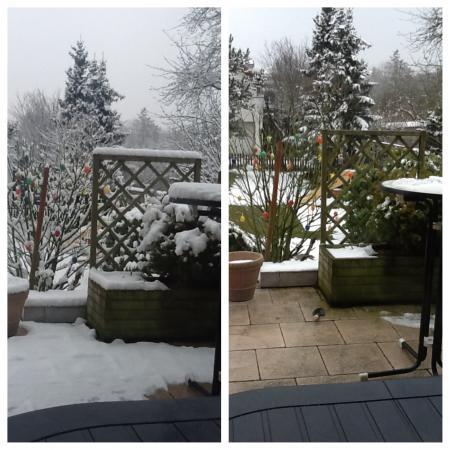 Bild zu 