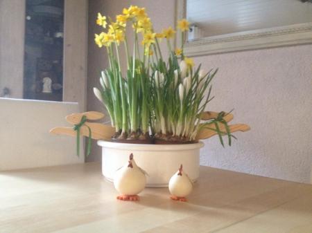 Bild zu 