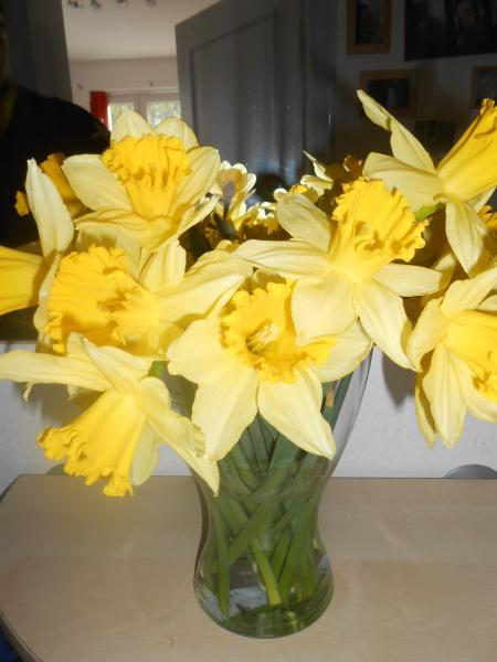 Bild zu 