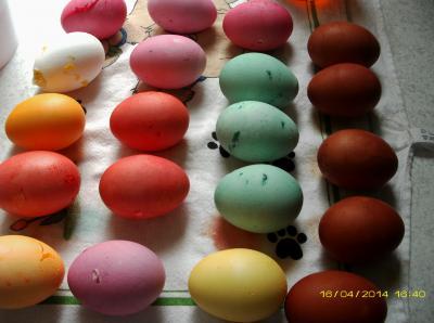 Bild zu Wer mal schauen will-mit Naturfarbe gefärbt - Ostern