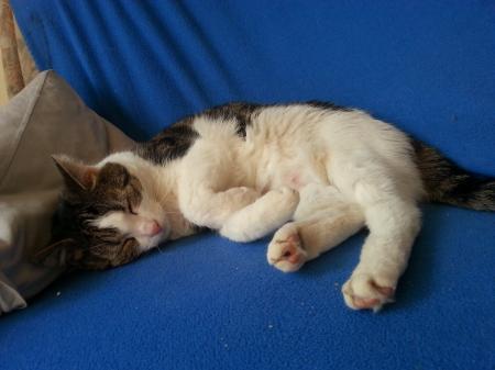 Bild zu 