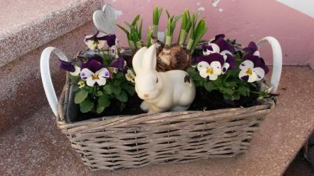 Bild zu zeigt her eure Osterdeko! - Ostern
