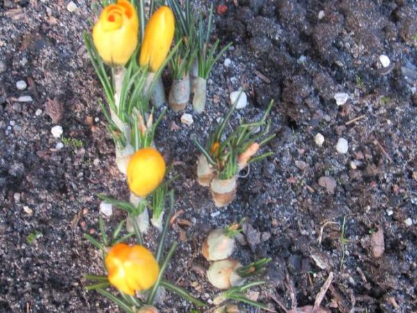 Bild zu für alle - Ostern