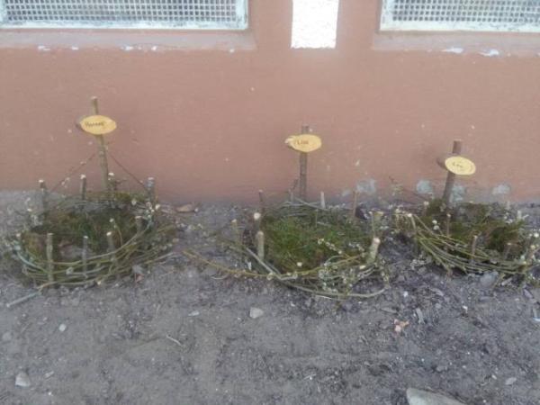 Bild zu