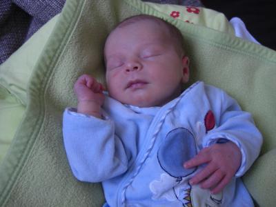 Bild zu Ausgekugelt! - Diätclub - Forum und Erfahrungsaustausch