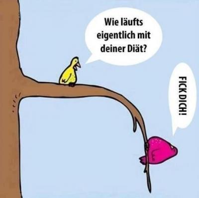 Bild zu Ich glaub ich gebs auf ... - Diätclub - Forum und Erfahrungsaustausch