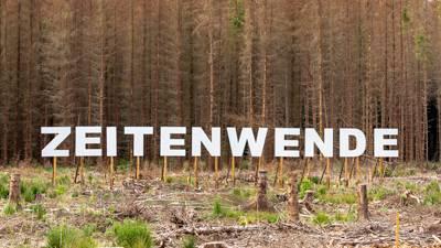 Bild zu