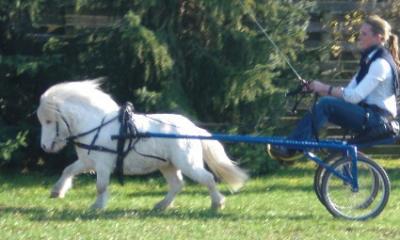 Bild zu 