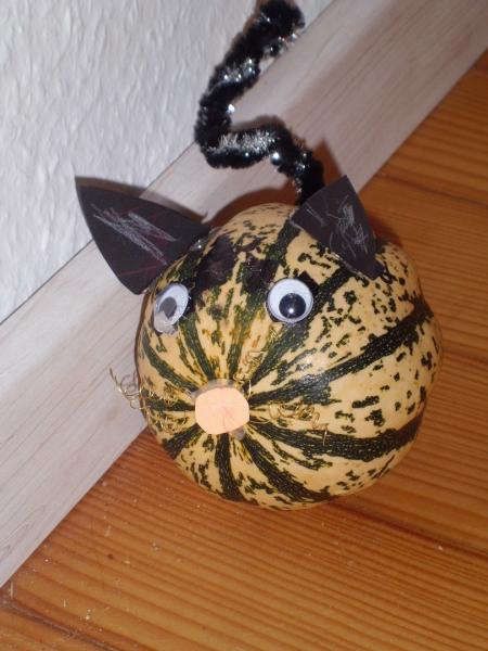 Bild zu 