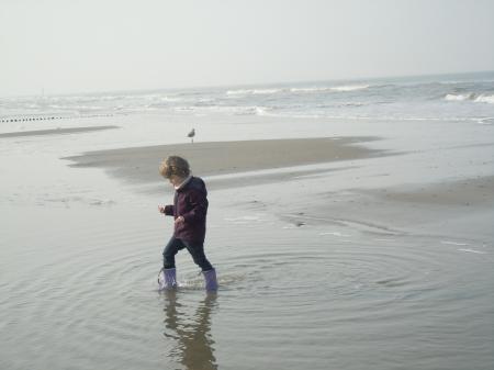 Bild zu