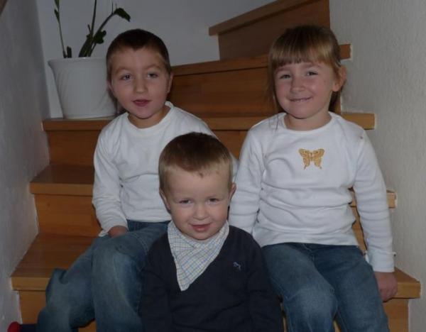 Bild zu
