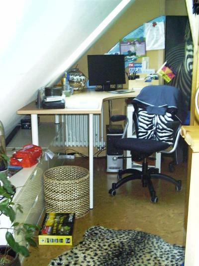 Bild zu