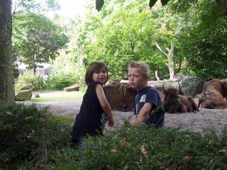 Bild zu