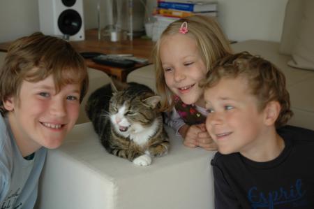 Bild zu 