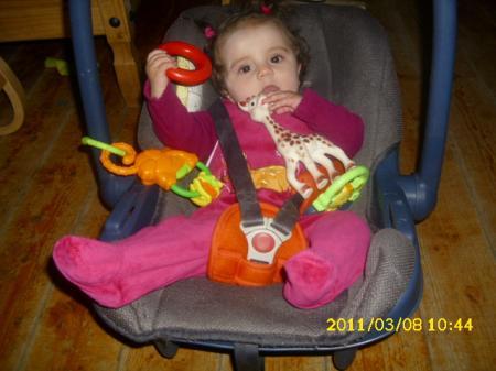 Bild zu