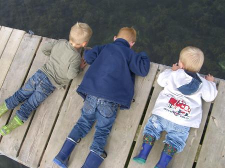 Bild zu 