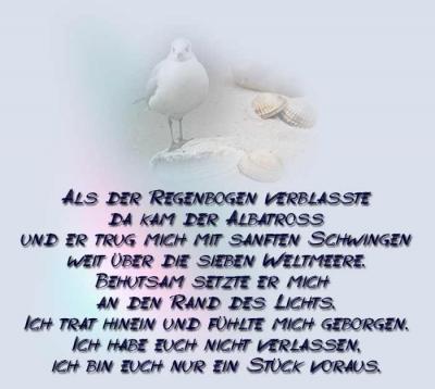 Bild zu 10 Jahre - Kleine Engel