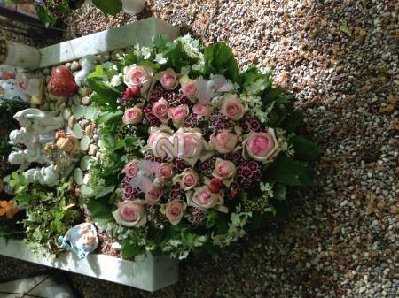 Bild zu