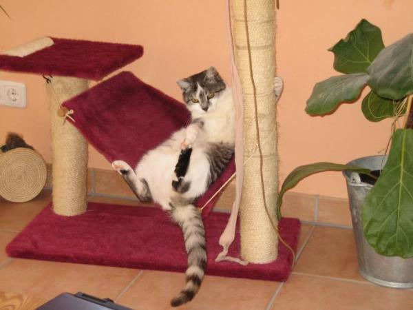 Bild zu 