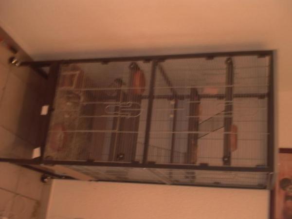 Bild zu 