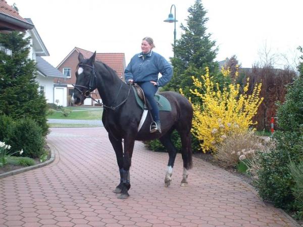 Bild zu 